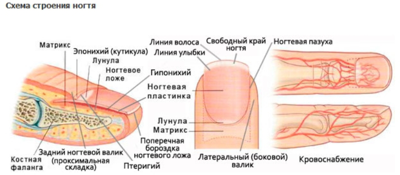 Статус о маме которой уже нету с нами Статус о маме которой уже нету с нами