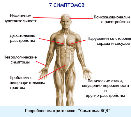 Симптомы ВСД у взрослых на картинке